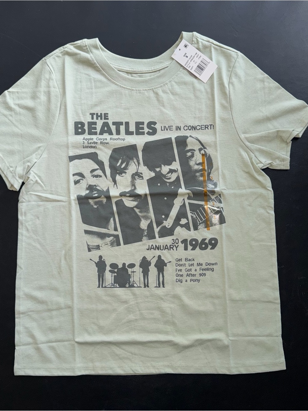 The Beatles Graphic Tee - Sage Green with Gray Print